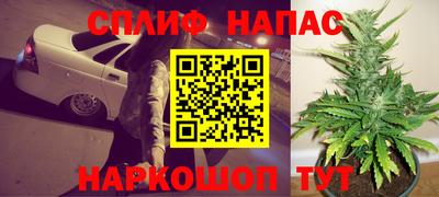 шишки Сланцы
