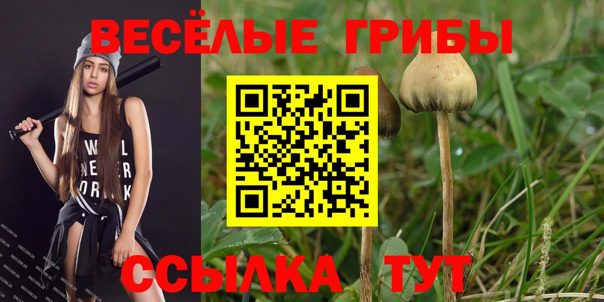 Псилоцибиновые грибы ЛСД Отрадное