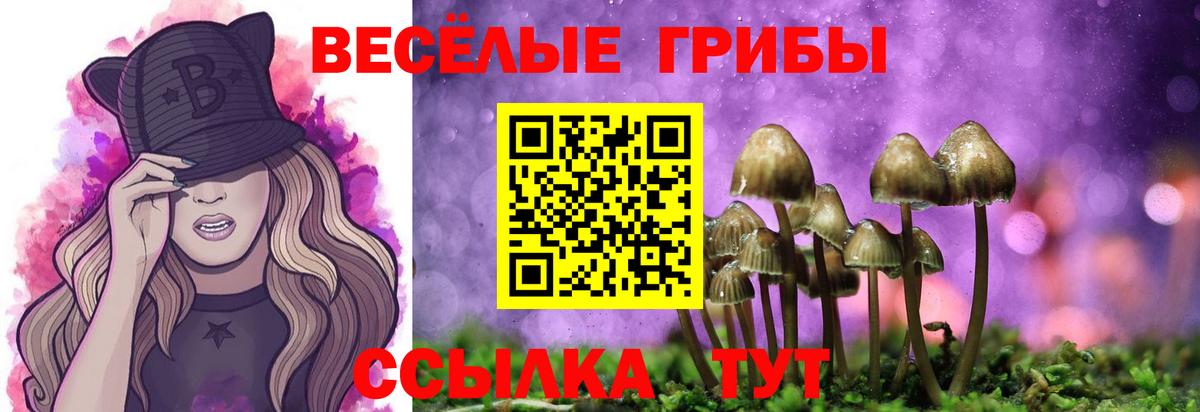Отрадное  Галлюциногенные грибы мухоморы  Вход с VPN  Псилоцибиновые грибы Cubensis 